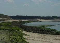20 mai 2025 - Berck (Pas-de-Calais)