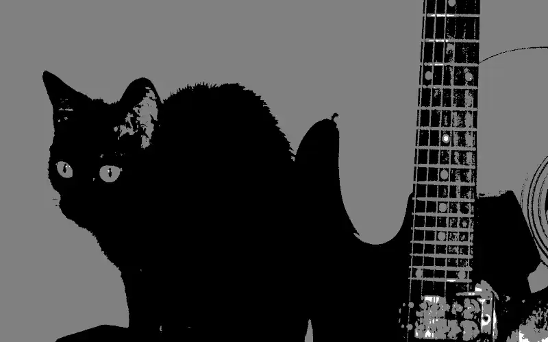 chat noir à côté d'une guitare