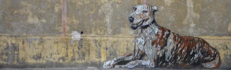 peinture mural d'un chien allongé et souriant
